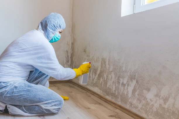 Licensed Mold Testing service in Graham, NC - WQB Mold Removal