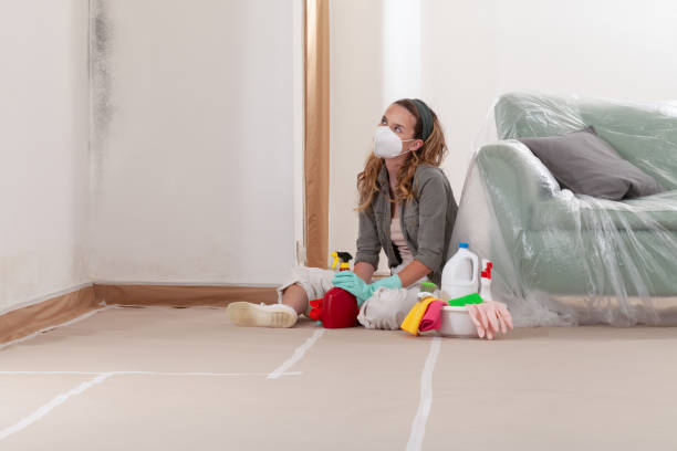 Reliable Mold Testing contractor in Graham, NC by WQB Mold Removal