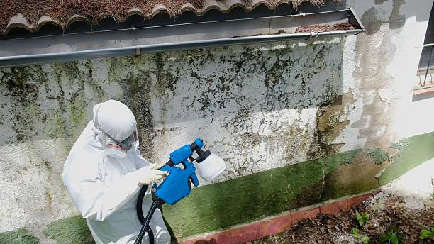 Top rated local Mold Testing specialists in Graham, NC